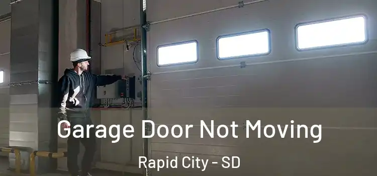  Garage Door Not Moving Rapid City - SD